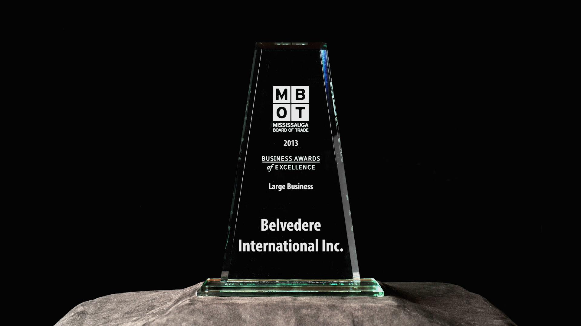 Belvedere International   2013 MBOT Large Business