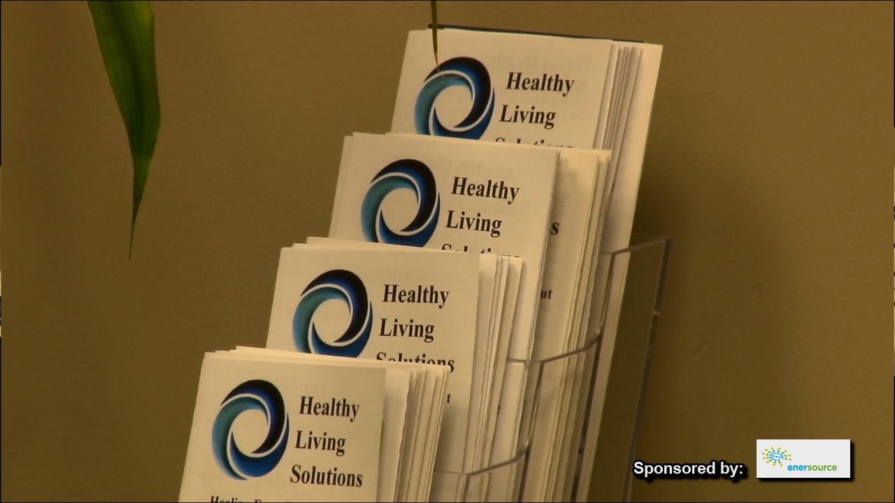 Healthy Living Solutions  MBOT 2012 AofE  FC